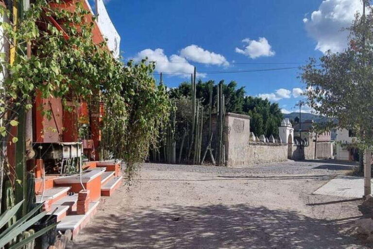 Oaxaca: Hierve el Agua, Mitla, Mezcal, and Maguey Fields - Practical Details and Value Analysis