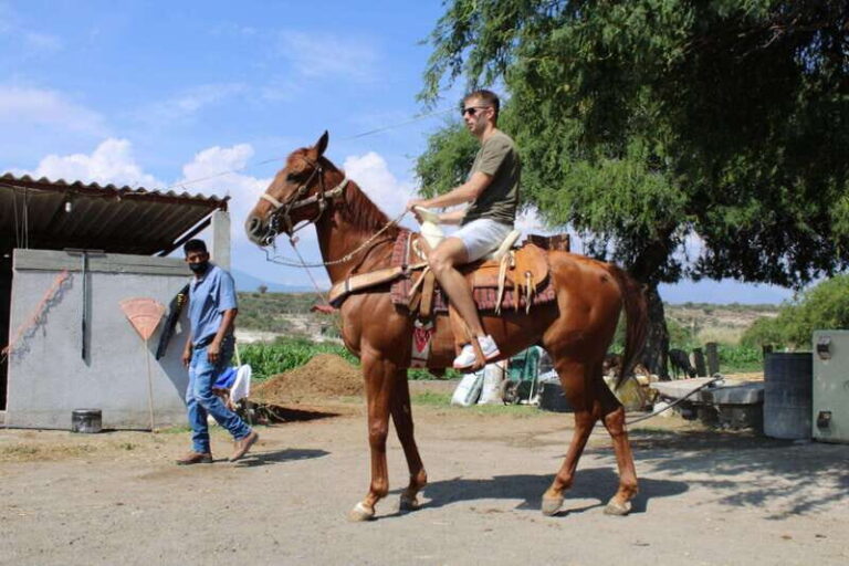 Oaxaca: Horseback Riding and Mezcal Tasting Tour - Analyzing Value and Suitability