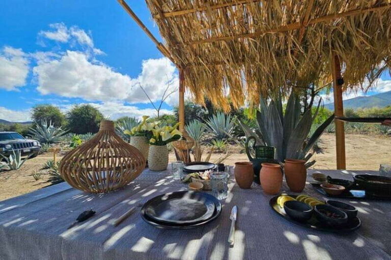 Oaxaca: Private Lunch in Maguey Fields with Mezcal Tasting - Is It Worth the Price?