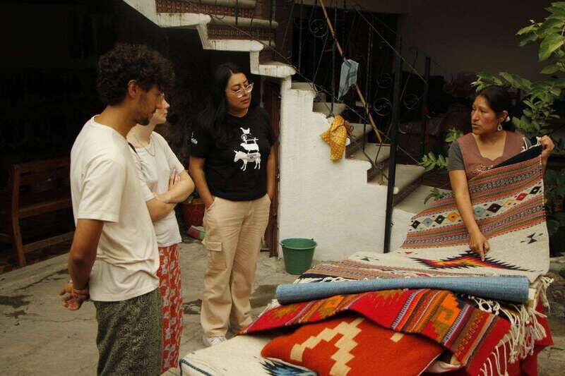 Oaxaca: Zapotec Roots, Mezcal and Textiles Tour - The Practicalities: Transportation, Guides, and Price
