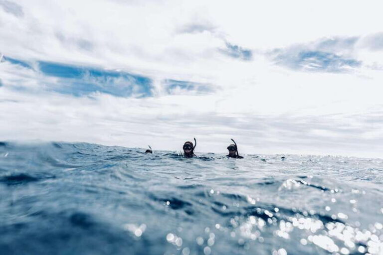 Ocean Safari in San Jose del Cabo - Value and Pricing