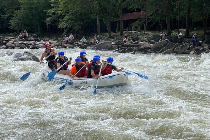 Ocoee River Middle Whitewater Rafting Trip (Most Popular Tour) - Who would love this tour?