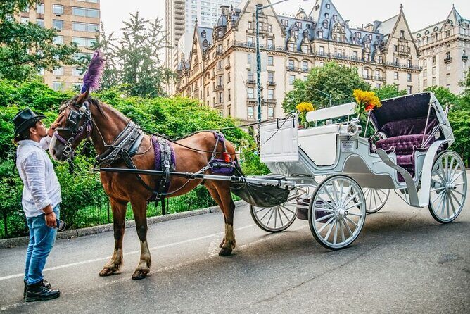 Official Private New York City Central Park Horse Carriage Ride Since 1965 - Who Is This Tour Best For?