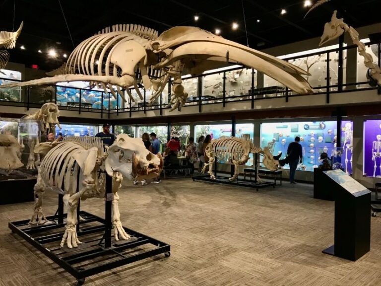 Oklahoma City: SKELETONS: Museum of Osteology Ticket - Who Will Find This Tour Most Valuable?