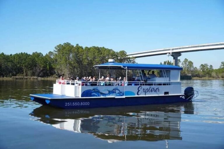Orange Beach: Dolphin Eco Sunset Cruise aboard The Explorer - How This Tour Provides Value