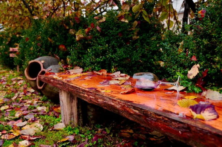 Organic Wine Full Day Private Tour With Tastings and Lunch - The Itinerary Breakdown: What to Expect