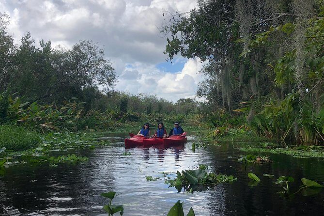 Orlando Manatee Encounters - Who Would Love This Tour?