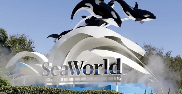Orlando: SeaWorld Shuttle Service - The Itinerary and What to Expect