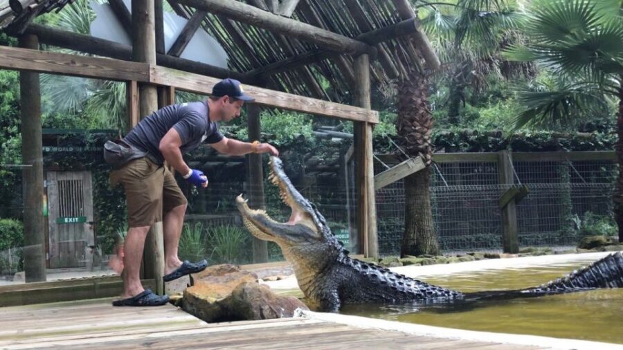 Orlando: Wild Florida Park Ticket and Gator Shows - An In-Depth Look at Wild Florida Park