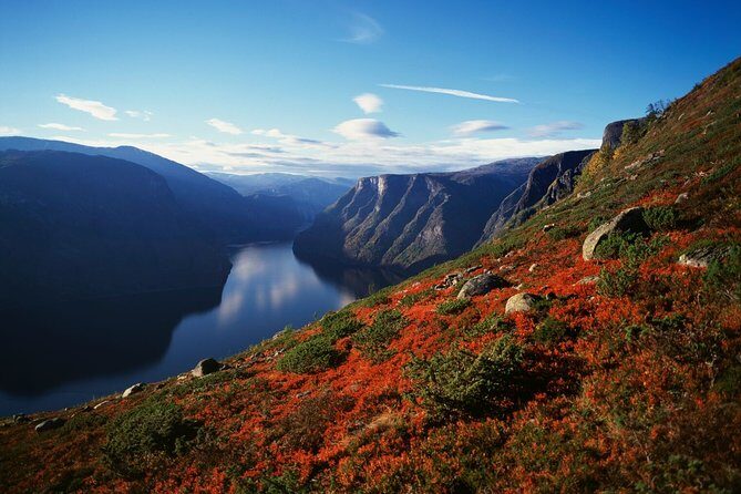 Oslo To Bergen Self-Guided Full Day Trip with Flåm Railway And Fjord Cruise - Why This Tour Works Well
