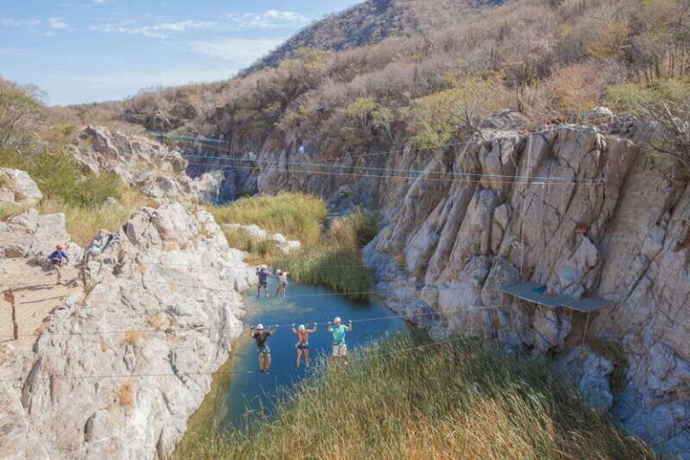 Outdoor Zip Line + Polaris Adventure with Lunch: Los Cabos - Practical Considerations & Tips