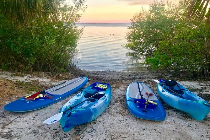 Paddle Board or Kayak Eco Dolphin Manatee Tour - An In-Depth Look at the Experience