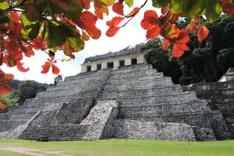 Palenque Archaeological site from Villahermosa or airport - Introduction to the Palenque Tour Experience