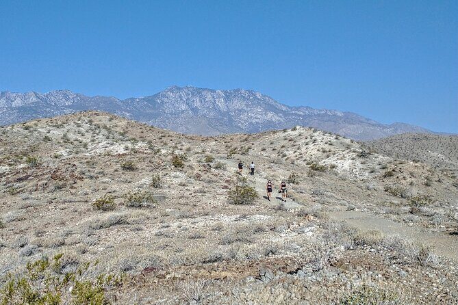 Palm Springs Hike to an Oasis and Amazing Desert Views - A Closer Look at the Palm Springs Hike Experience