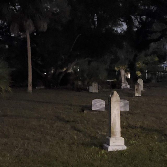 Palmetto: Ghost and Haunted History Tour - What to Expect During the Tour