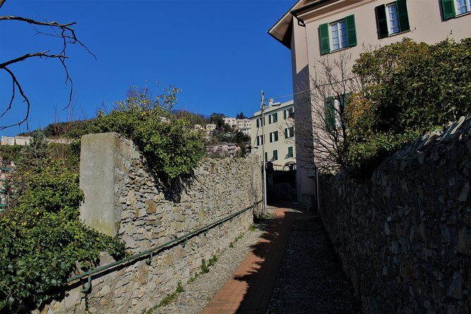 Panoramic Tour across the "creuze" with a storyteller - Detailed Breakdown of the Itinerary