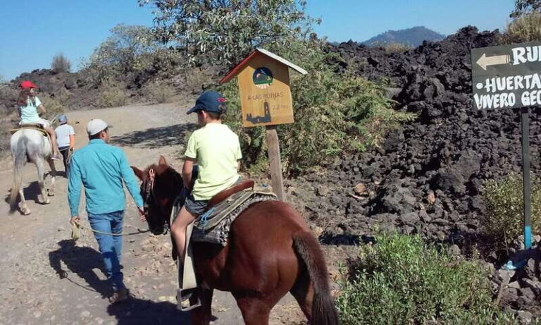 Paricutin Volcano Crater Special Tour - A Complete Breakdown of the Experience