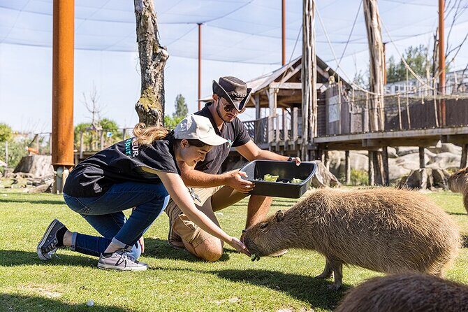 Parrot World Immersive Wildlife Park Entry Ticket next to Paris - FAQ