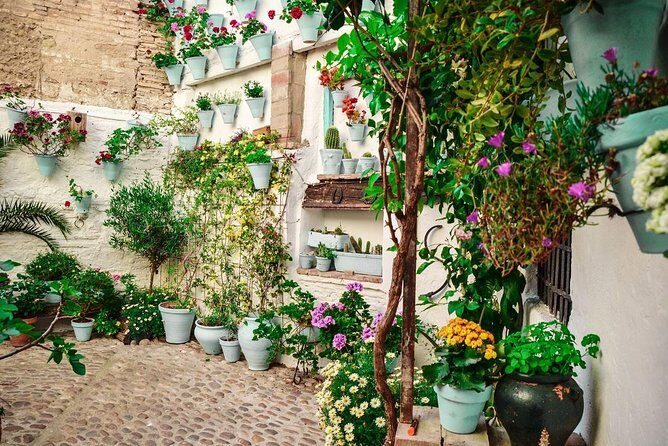 Patios tour in Cordoba - Who Will Enjoy This Tour?