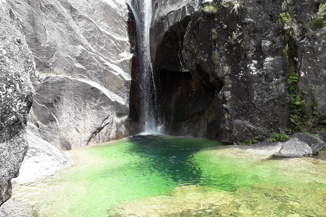 Peneda-Gerês National Park - Nature & Tastings - - Final Thoughts: Who Will Love This Tour?