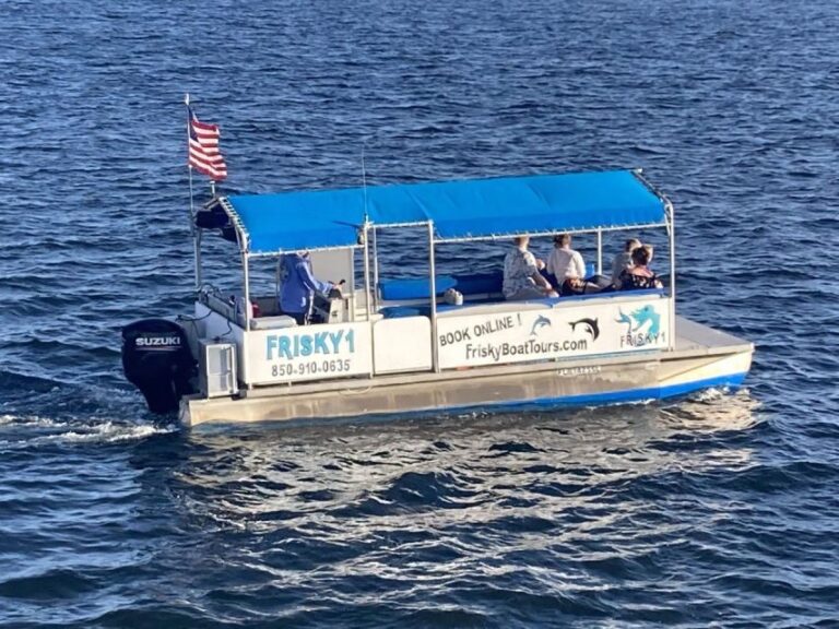 Pensacola Beach Sunset Dolphin Tour private up to 6 ppl - Final Thoughts: Why Choose This Tour?