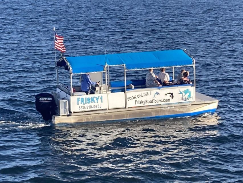 Pensacola Beach Sunset Dolphin Tour private up to 6 ppl - Final Thoughts: Why Choose This Tour?
