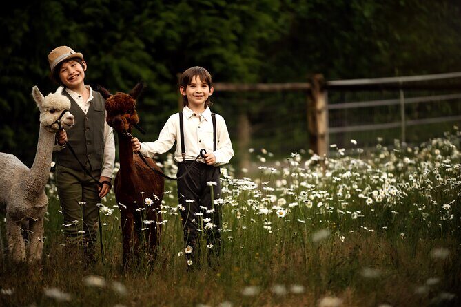 Photoshoot with Alpacas and Farm Experience near Seattle - Authentic Insights from Reviews