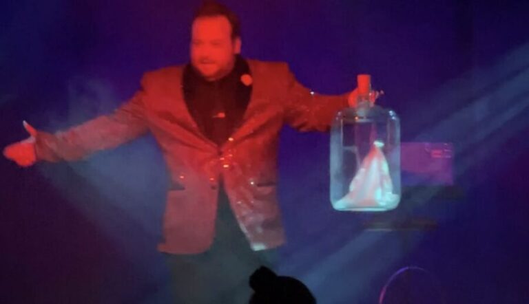 Pigeon Forge: Steven Best's Unbelievable Magic Show - Who Is This Show Best For?
