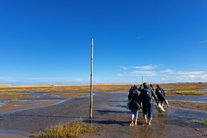 Pilgrims' Path walk across the sands to Holy Island - Why This Tour Offers Great Value