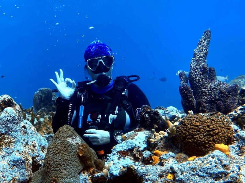 Playa del Carmen: 2-Tank Reef Dive - The Value of $100