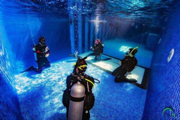 Playa del Carmen: Beginner Scuba Diving Experience - The Marine Environment and Underwater Experience
