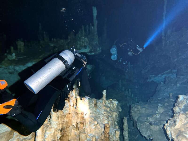 Playa del Carmen: Cenote Diving Experience - Why This Tour Offers Great Value