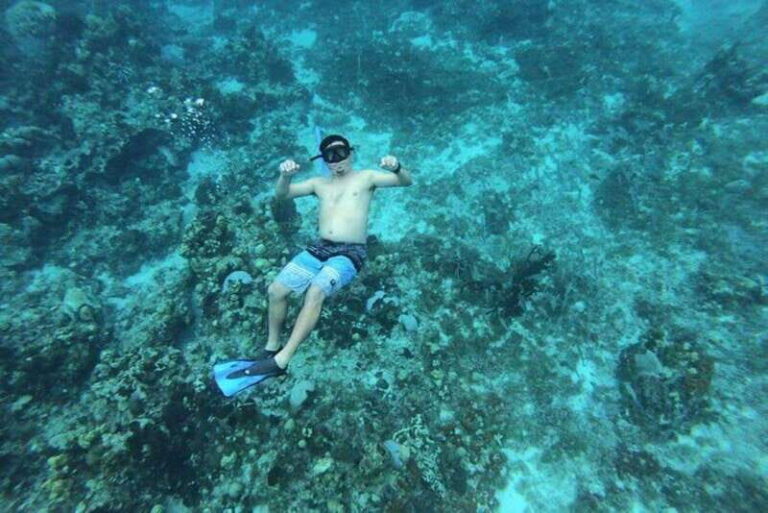Playa del Carmen: Cozumel Snorkeling Experience - Whats Included and Whats Not