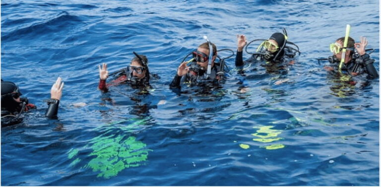 Playa del Carmen: Divemaster Course - Overview of the Playa del Carmen Divemaster Course