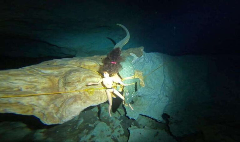 Playa del Carmen: Dos Ojos Cenote 2 scuba dives without tran - Why the Price Reflects Value