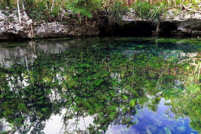 Playa del Carmen: Dual Realm Diving (Cenote + Reef Diving) - What Sets This Tour Apart?