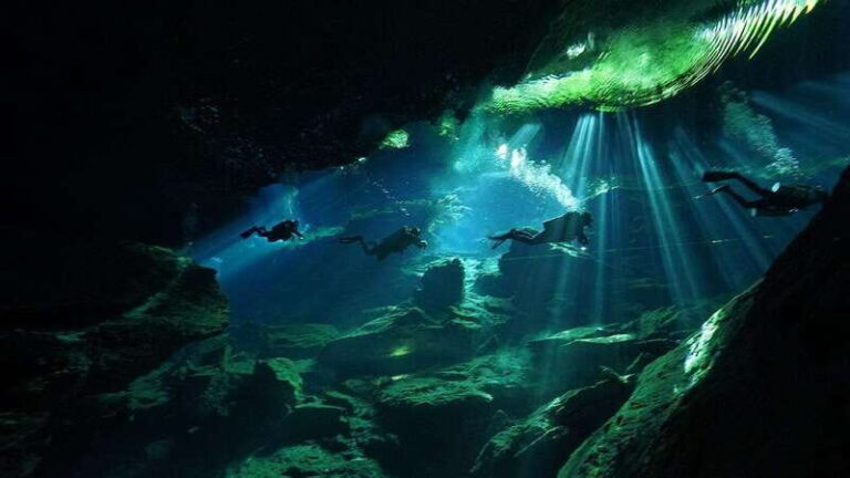 Playa del Carmen: Explore the Surreal World of Cenote Diving - The Value of This Cenote Tour