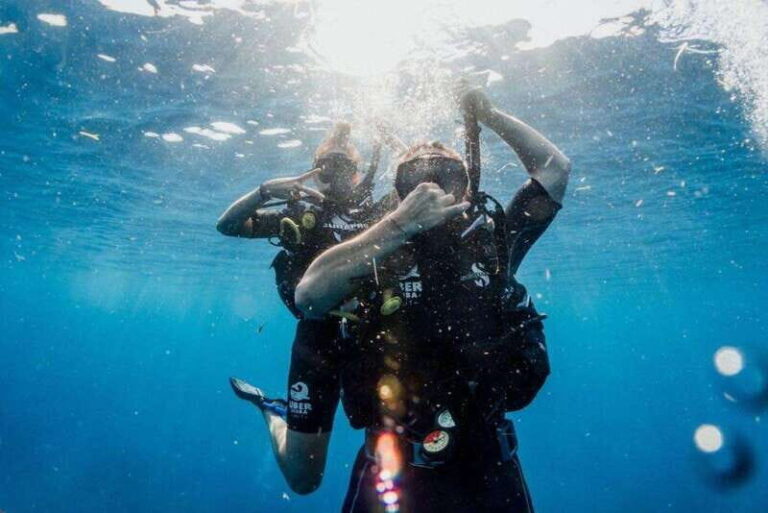 Playa del Carmen: Fun Dive Experience for Certified Divers - A Detailed Look at the Playa del Carmen Dive Experience