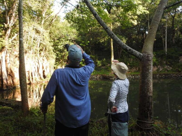 Playa del Carmen: Guided Birdwatching Hike - Why This Tour Is a Great Choice
