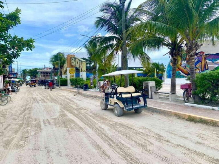 Playa del Carmen: Holbox Ferry & Punta Mosquito - What’s Included and What’s Not