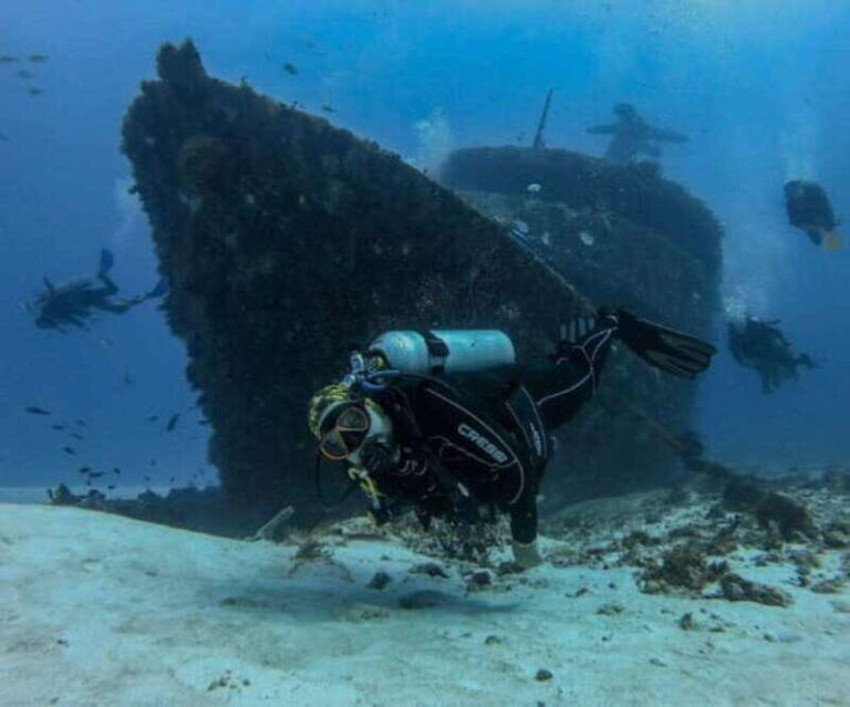 Playa del Carmen: MamaViña Wreck & Reef for Certified Divers - What to Expect During Your Dives