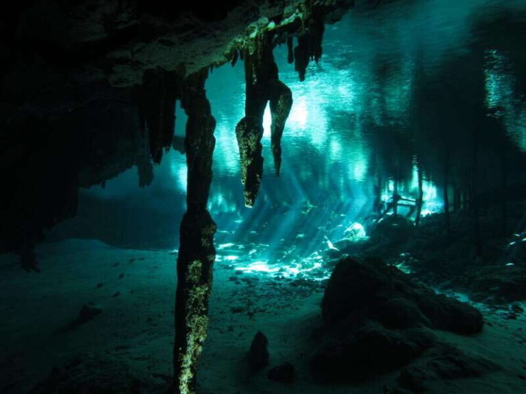 Playa del Carmen: Mind-Blowing Diving at Cenote Dos Ojos - What the Tour Entails