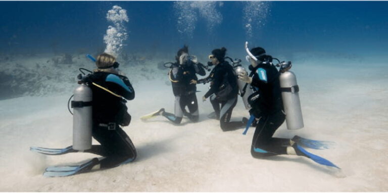 Playa del Carmen: Open Water Diver Course - What Does Each Part of the Course Include?