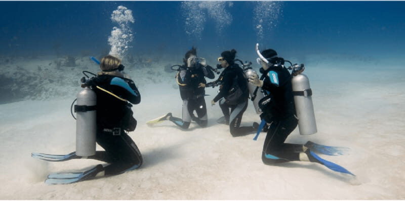 Playa del Carmen: Open Water Diver Course - What Does Each Part of the Course Include?