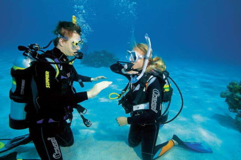 Playa del Carmen: PADI Advance Open Water in Riviera Maya - The Dive Environments and Their Appeal
