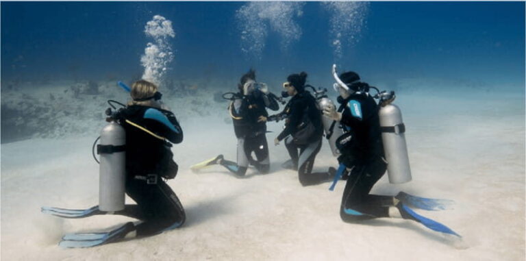 Playa del Carmen: Scuba Diver Certification Course - What Travelers Love About This Course