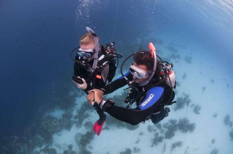 Playa del Carmen: Ultimate PADI Open Water Diver Experience - The Learning Experience