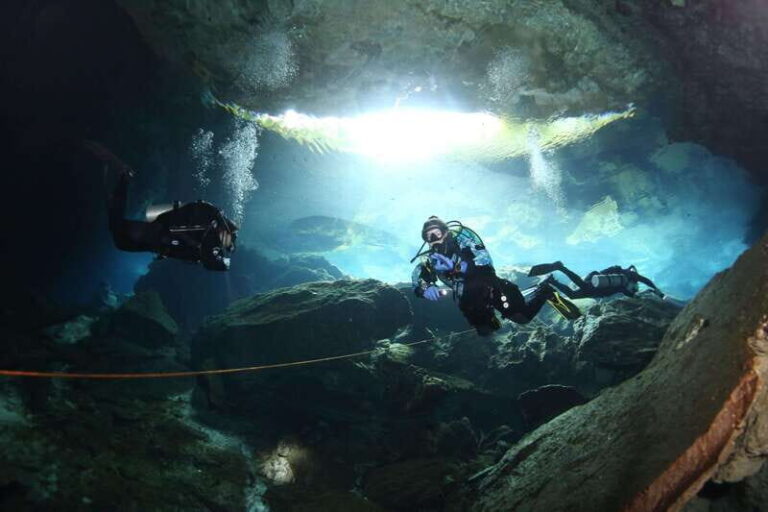 Playa del Carmen: Unforgettable Dive @ Cenote Chikin Ha - The Itinerary: What’s Included and What to Expect