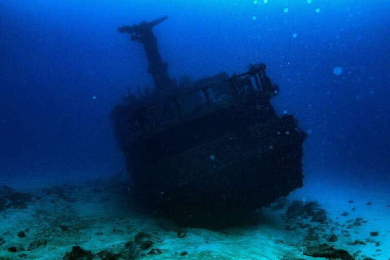 Playa del Carmen: Wreck Dive Mama Viña - Detailed Breakdown of the Itinerary