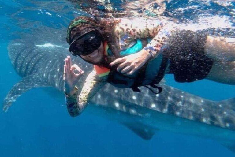 Playa del Carmen:Whale shark Experience in the Caribbean Sea - What’s Worth Noting